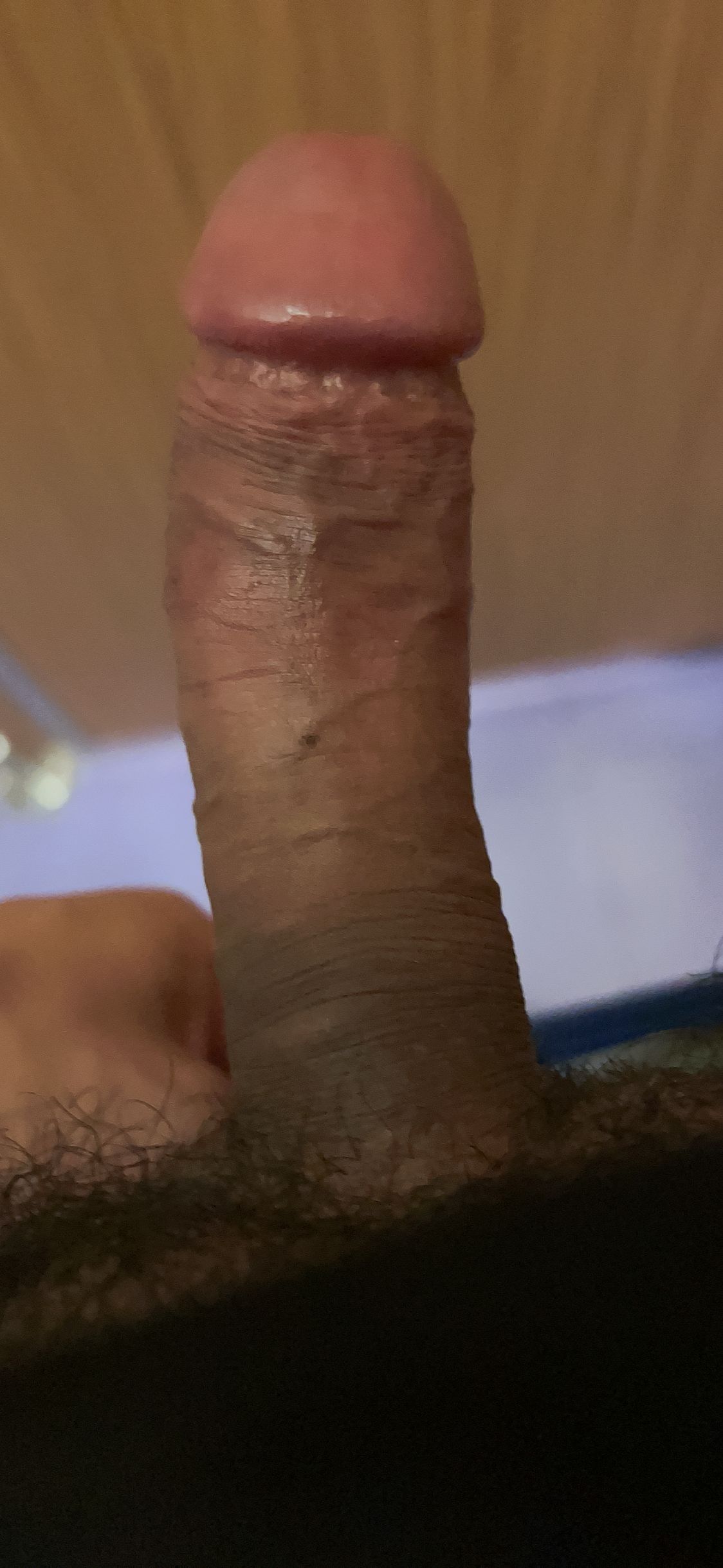 0E53A772-675C-4814-8BDE-2E68343244FD.jpeg